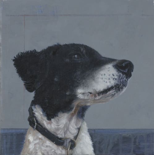 Geschilderd portret van een zwart-witte hond.