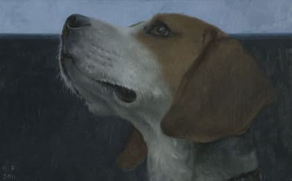 Beagle, werk van Hinke Posthuma