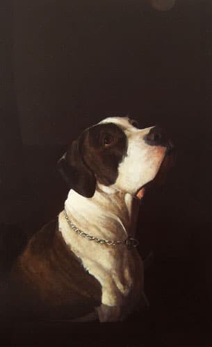 Lola Koekje, werk van Stijn Rietman